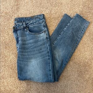 Kut from the Kloth Carlo ankle skinny